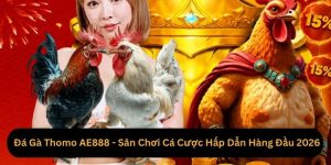 Đá Gà Thomo AE888 - Sân Chơi Cá Cược Hấp Dẫn Hàng Đầu 2026