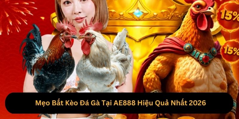 Mẹo Bắt Kèo Đá Gà Tại AE888 Hiệu Quả Nhất 2026