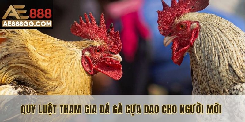 Quy luật tham gia đá gà cựa dao cho người mới bắt đầu